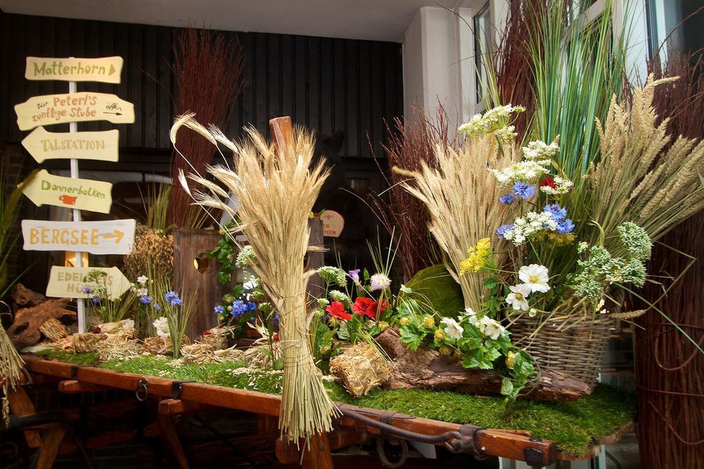 Hotel Rheinterrasse Benrath 뒤셀도르프 외부 사진